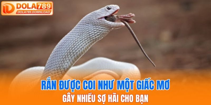 Rắn được coi như một giấc mơ gây nhiều sợ hãi cho bạn