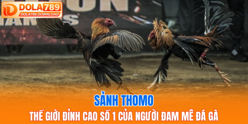 sảnh Thomo