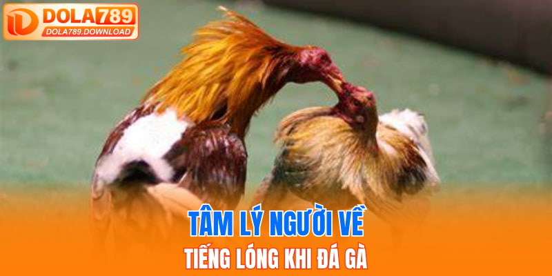 Tâm lý người về tiếng lóng khi đá gà