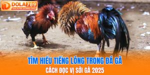 tiếng lóng trong đá gà