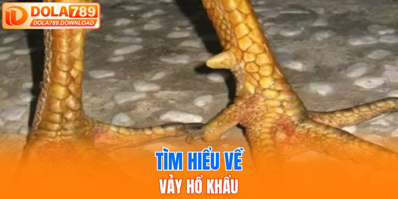 Tìm hiểu về vảy Hổ Khẩu