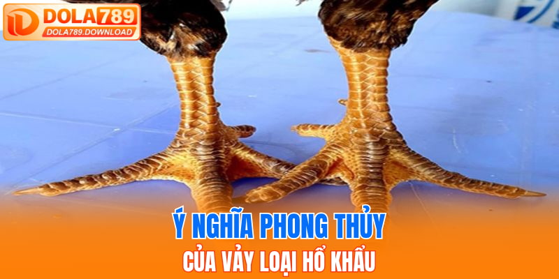 Ý nghĩa phong thủy của vảy loại Hổ Khẩu